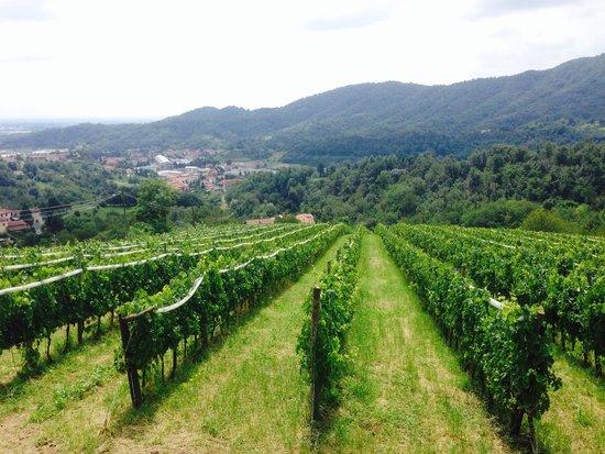 Osteria nettare dei santi